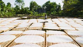 CRUCERO LA MARGUERITE (SA DEC / CAI BE)