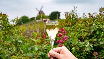 PARÍS / EPERNAY / HAUTVILLERS / REIMS