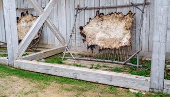 ST LOUIS / ROLLA / SPRINGFIELD, MO (347 KM)