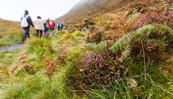 GALWAY / CONNEMARA / KYLEMORE / GALWAY