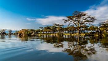 P. N. LAGO NAKURU / LAGO NAIVASHA / R. N. MASAI MARA