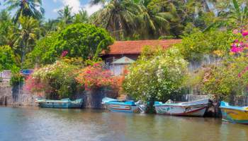 KANDALAMA / NEGOMBO