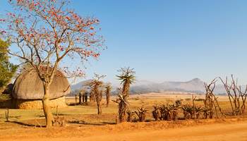 ÁREA KRUGER / ESUATINI (SWAZILANDIA)