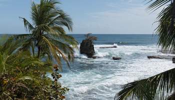 P N TORTUGUERO / CARIBE SUR