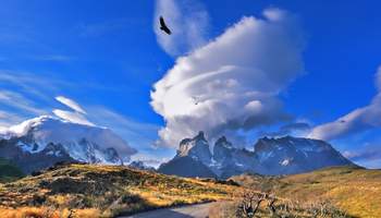 PUERTO NATALES (PARQUE NACIONAL TORRES DEL PAINE)