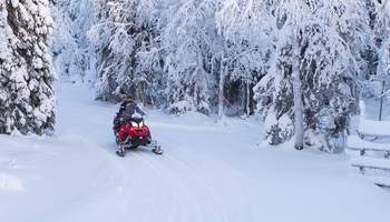 ROVANIEMI: SAFARI EN MOTOS DE NIEVE