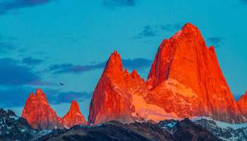 EL CHALTÉN (TREKKING LAGUNA TORRE)