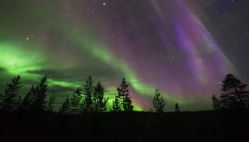 MUOTKA: GRANJA DE RENOS, ESQUÍ DE FONDO Y AURORAS BOREALES