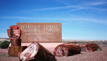 GALLUP / PETRIFIED FOREST NATIONAL PARK / HOLBORRK / JOSEPH CITY / WINSLOW (206 KM)
