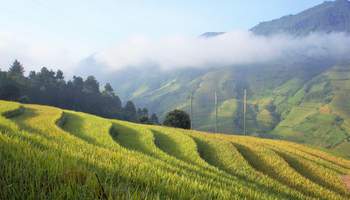 SAPA / MU CANG CHAI ( TREKKING 2 H APROX)
