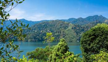 BELUM RAINFOREST / PENANG