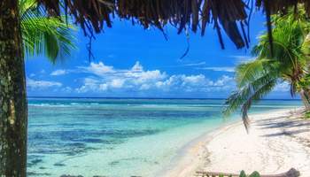 TAVEUNI