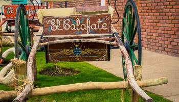 BUENOS AIRES / EL CALAFATE