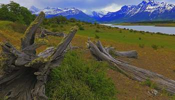 BUENOS AIRES/EL CALAFATE