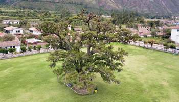 CUZCO / CHINCHERO / MORAY / OLLANTAYTAMBO / VALLE SAGRADO