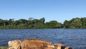 PN DE TORTUGUERO