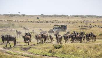 R. N. MASAI MARA