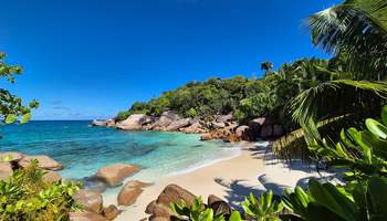 ISLA MOYENNE / MAHE