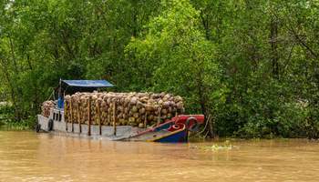 CRUCERO LA MARGUERITE (BEN TREE / VINH LONG)