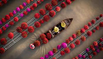 CRUCERO LA MARGUERITE / (CAI BE / SA DEC)