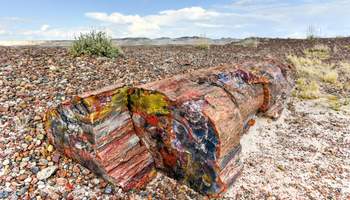 ALBUQUERQUE / GALLUP / HOLBROOK (373 KM)