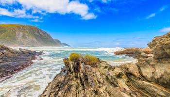 PORT ELIZABETH / KNYSNA (RUTA JARDÍN)