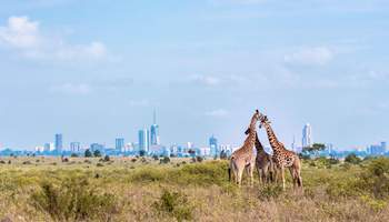 NAIROBI
