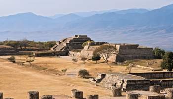 OAXACA (MONTE ALBÁN Y VISITA CIUDAD)