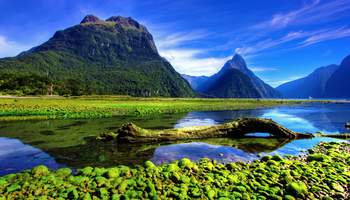 QUEENSTOWN (MILFORD SOUND)