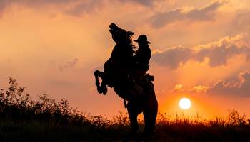 OKLAHOMA CITY / AMARILLO (414 KM)