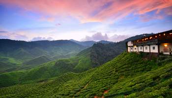 KUALA LUMPUR / CAMERON HIGHLANDS