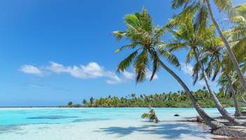 CRUCERO PAUL GAUGUIN (FAKARAVA)