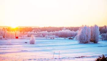 ESTOCOLMO/LULEÅ – BRÄNDON LODGE