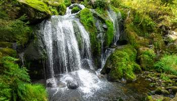 FRIBURGO / CASCADAS DE TRIBERG / ALPIRSBACH / GEGENBACH / FRIBURGO