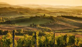 FIESOLE / SAN GIMIGNANO / TAVARNELLE