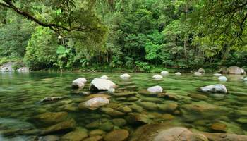 CAIRNS