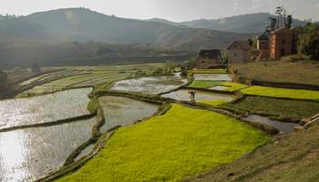 ANTANANARIVO / P. N. ANDASIBE