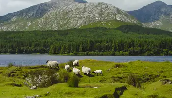 GALWAY / CONNEMARA / KYLEMORE / GALWAY