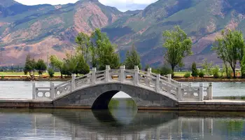 DALI / SHANGHÁI