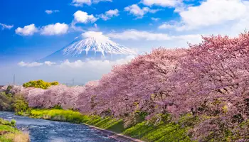 TOKIO / MONTE FUJI / HAKONE
