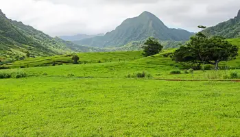 HONOLULU (AVENTURA JURÁSICA)