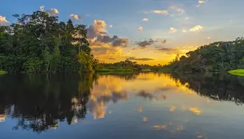 CRUCERO EN EL AMAZONAS (RÍO UCAYALI/RÍO TAPICHE/RÍO DORADO)
