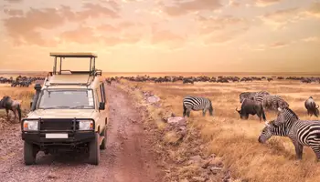 LAGO NATRÓN / P. N. SERENGETI