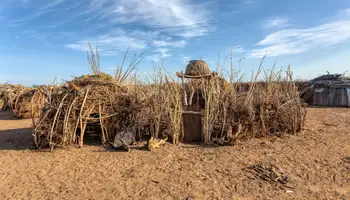 TURMI / OMORATE / TURMI