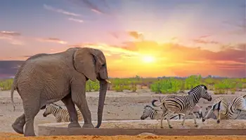 WINDHOEK / PARQUE NACIONAL DE ETOSHA