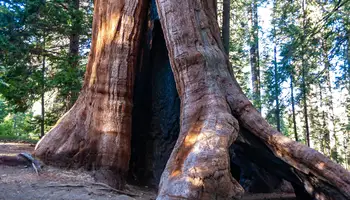 FRESNO / ÁREA DE YOSEMITE (150 KM)