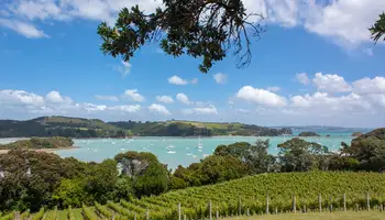 AUCKLAND / WAIHEKE ISLAND /AUCKLAND