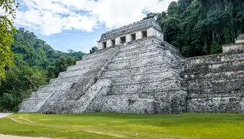 PALENQUE (MILSOHA)