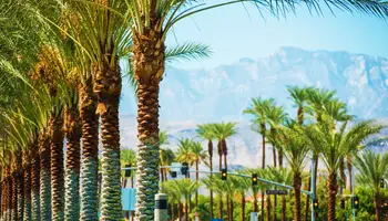 FLAGSTAFF/SEDONA/PALM SPRING (680 KM)