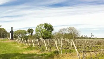 COLONIA DEL SACRAMENTO / CARMELO